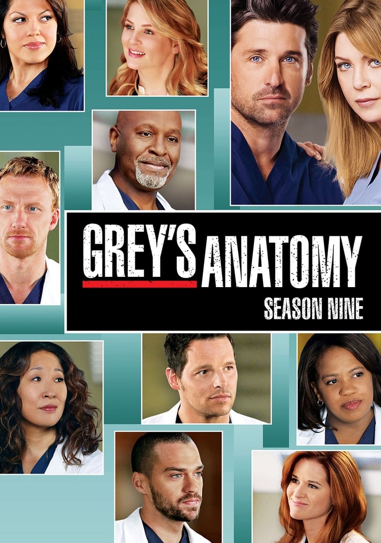 Grey’s Anatomy: Season 9