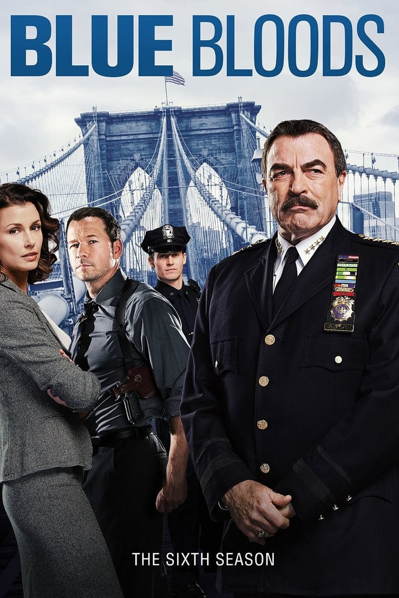 Blue Bloods: Season 6