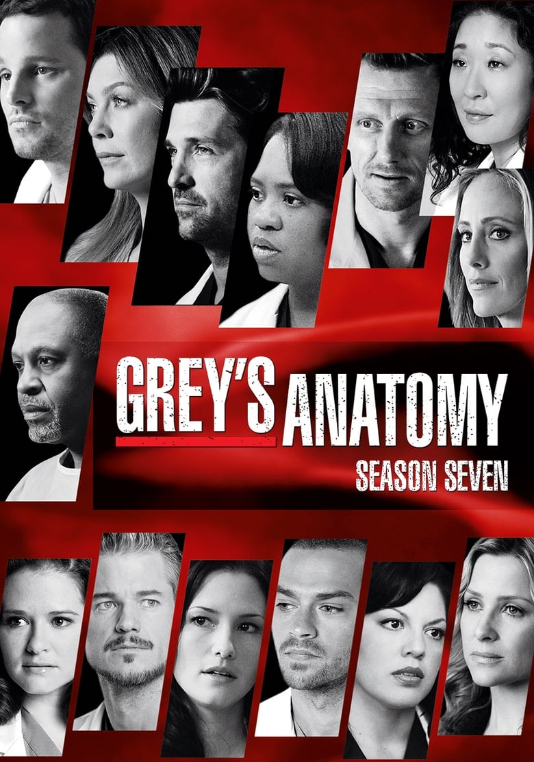 Grey’s Anatomy: Season 7